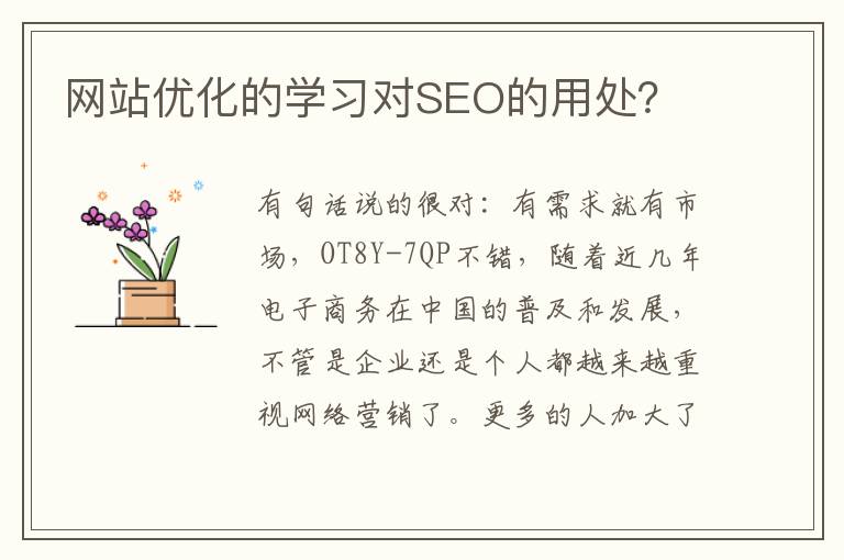 网站优化的学习对SEO的用处？