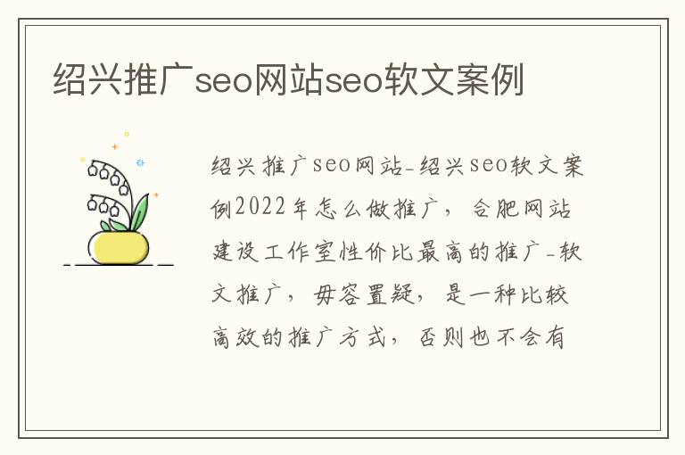 绍兴推广seo网站seo软文案例