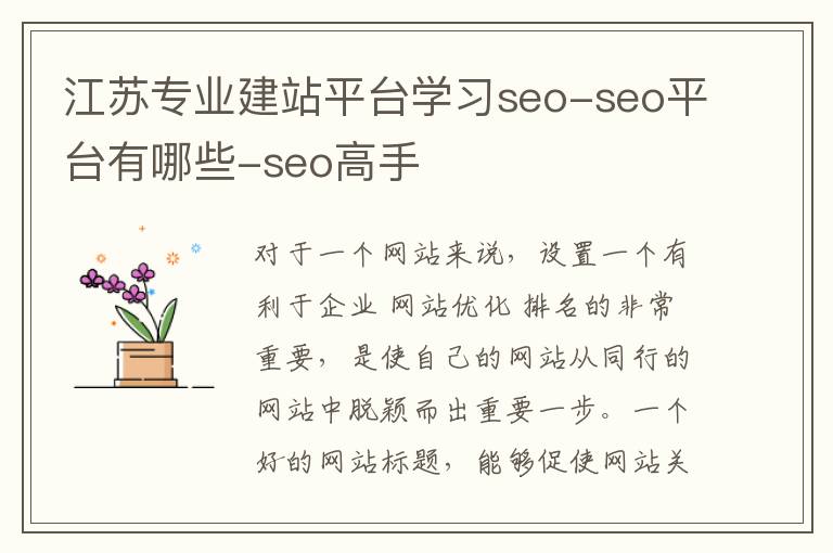 江苏专业建站平台学习seo-seo平台有哪些-seo高手