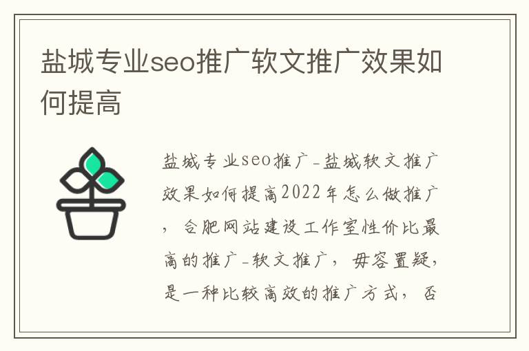 盐城专业seo推广软文推广效果如何提高